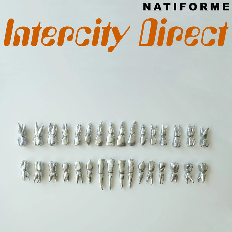 Natiforme - Intercity Direct - Patta